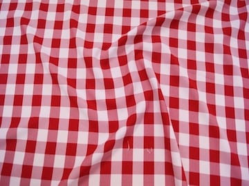 Gingham-Red1