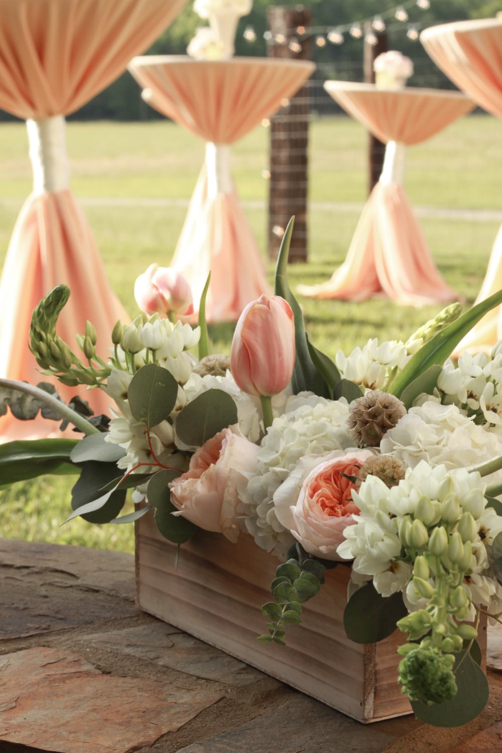 Peach Highboy Ivory Wrap David Austin Roses