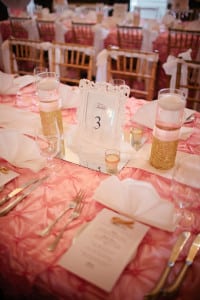 Pink Pinched Taffeta