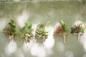 succulent boutonniere flower buds spindle photography