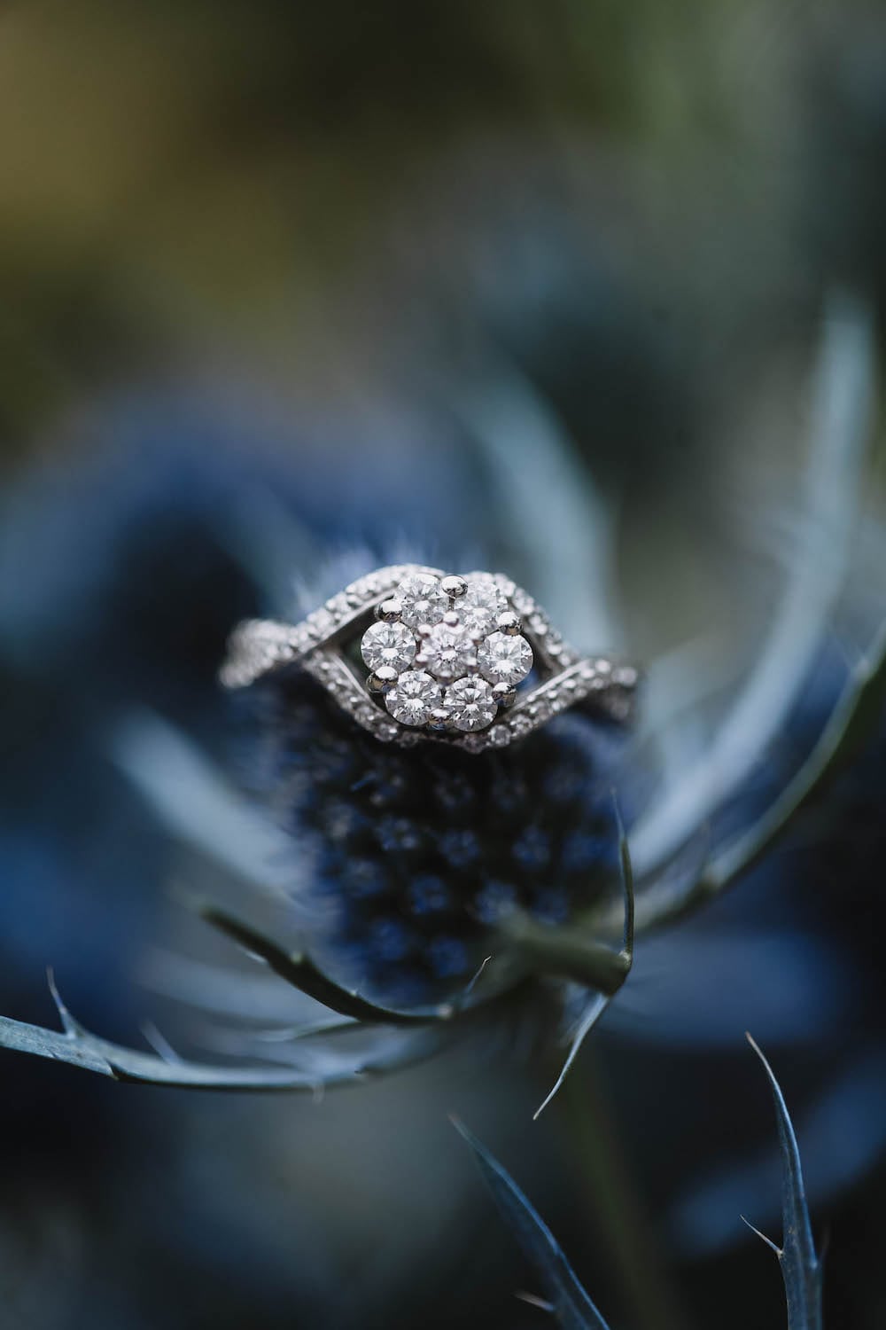 Aldridge Gardens wedding Ring